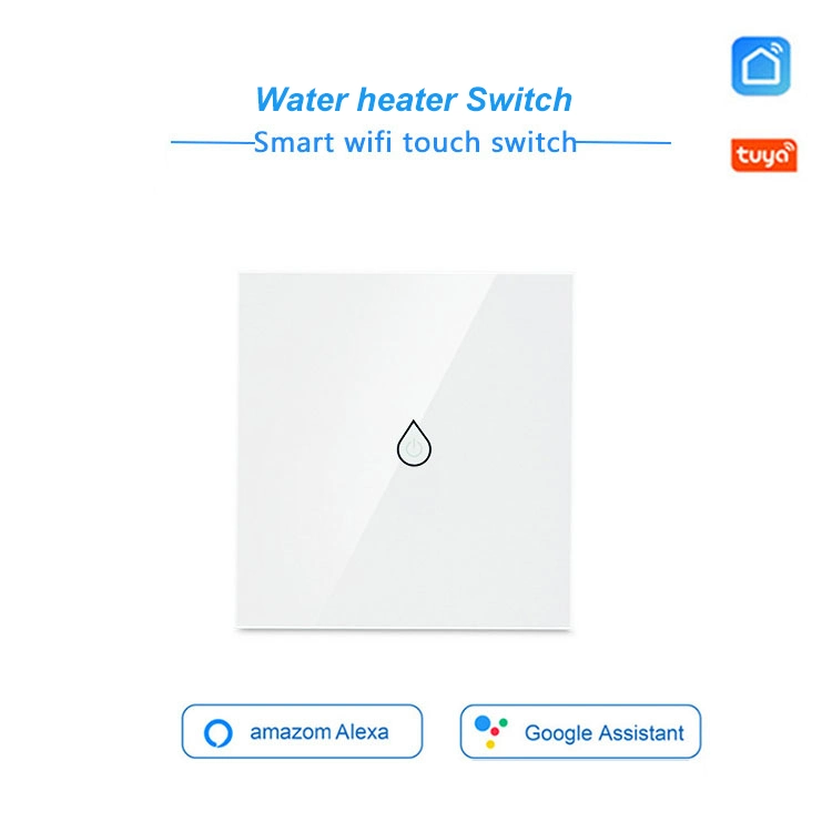 Smart Home WiFi Voice Control Water Heater Electrical Tact Switch